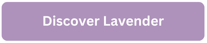 Discover Lavender