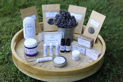 Kharis-Lavender-Fields