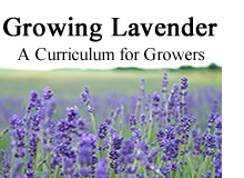 Self-paced course on Growing Lavender. Built by U of Michigan and USLGA members.
